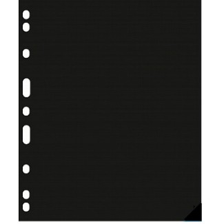 euroerme érme 5 db ENCAP választólap