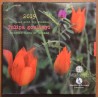 Euromince mince 5 Euro Grécko 2019 - Tulipa goulimyi (BU)