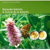 euroerme érme 5 Euro Luxemburg 2020 - Bistorta officinalis (Proof)