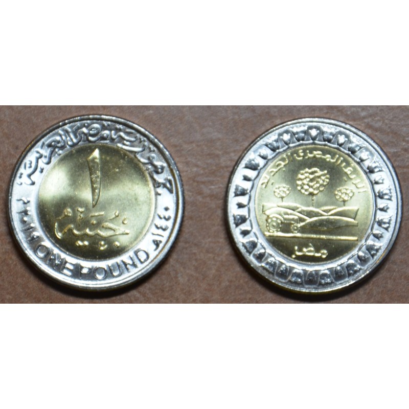 eurocoin eurocoins Egypt 1 pound 2019 New Egyptian Countryside (UNC)