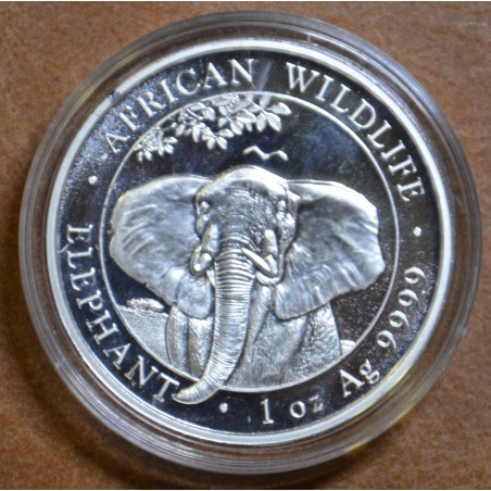 euroerme érme 100 Shilling Szomália 2021 - Elefánt (1 oz Ag)
