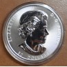 Euromince mince 50 dolárov Kanada 2021 Magnificent Maple (10 oz. Ag)