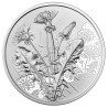 Euromince mince 10 Euro Rakúsko 2022 - Púpavka (BU)