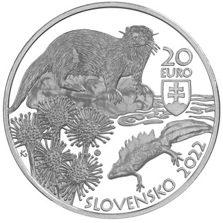 euroerme érme 20 Euro Szlovákia 2022 - Kiszuca Tájvédelmi Terület (...