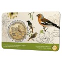 2,5 Euro Belgium 2022 - Bird protection (BU / french side)