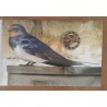 eurocoin eurocoins 2 Euro Estonia 2023 - The Barn Swallow (BU)
