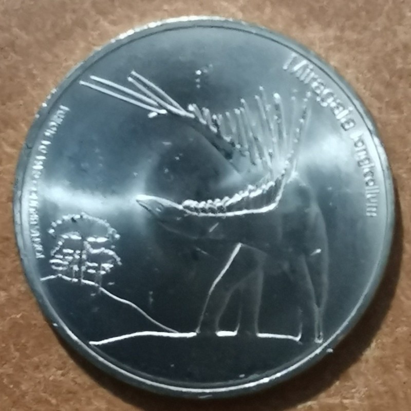 Euromince mince 5 Euro Portugalsko 2023 - Miragaia longicollum (UNC)