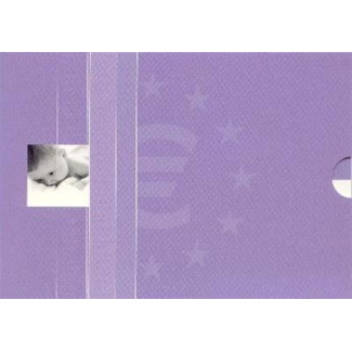 euroerme érme Holland 8 részes forgalmi sor 2002 (BU)