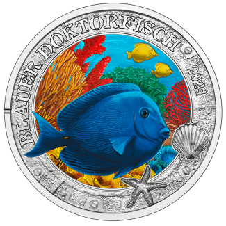 3 Euro Rakúsko 2024 - Doctorfish (UNC)