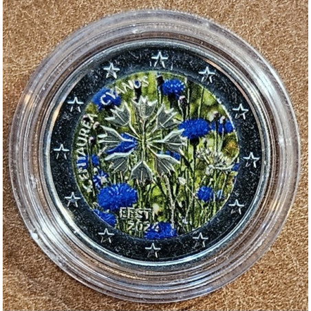 2 Euro Estónsko 2024 - Cornflower IV. (colored UNC)