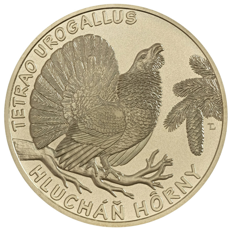 5 Euro Szlovákia 2024 - A nyugati siketfajd (UNC)