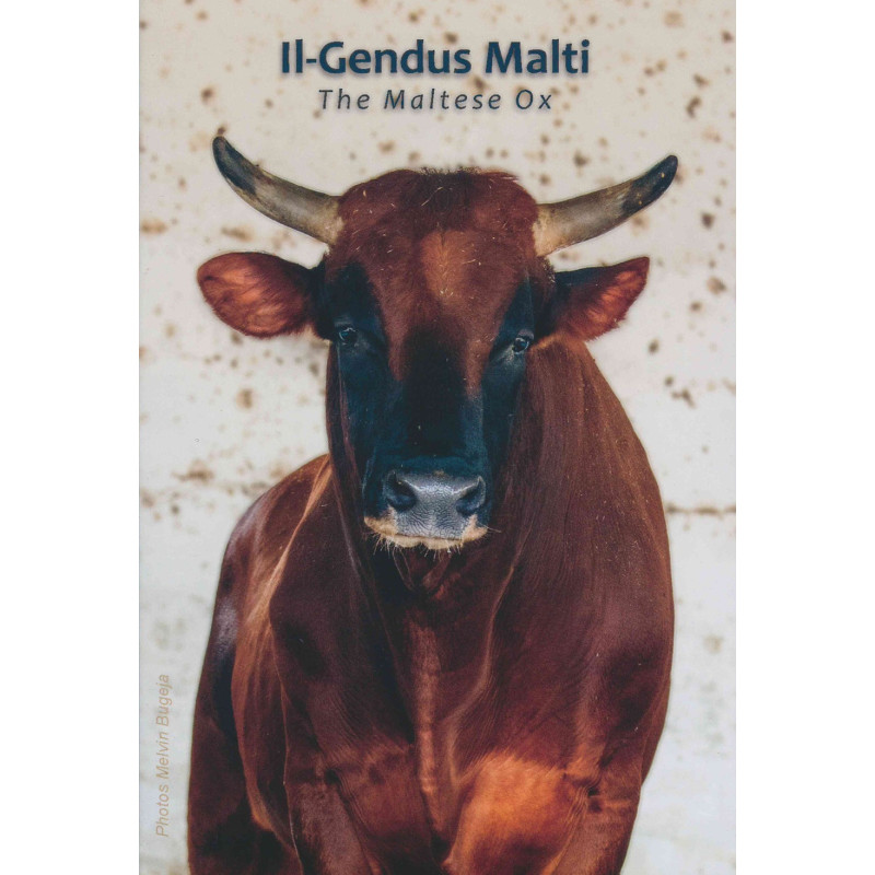 2 Euro Malta 2025 - The Maltese ox (BU)