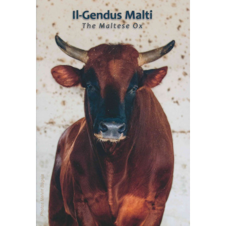 2 Euro Malta 2025 - The Maltese ox (BU)