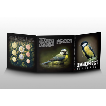 Luxembourg 2020 unofficial set of 8 eurocoins (BU)