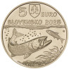 5 Euro Slovakia 2025 - The Danube salmon (UNC)