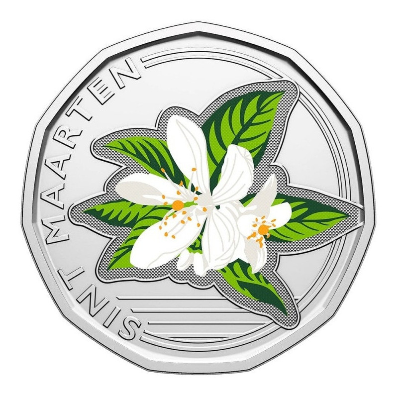 50 cent St. Marteen 2025 (UNC)