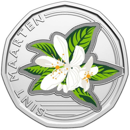 50 cent St. Marteen 2025 (UNC)