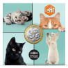 5 Euro France 2025 - The cat (UNC)