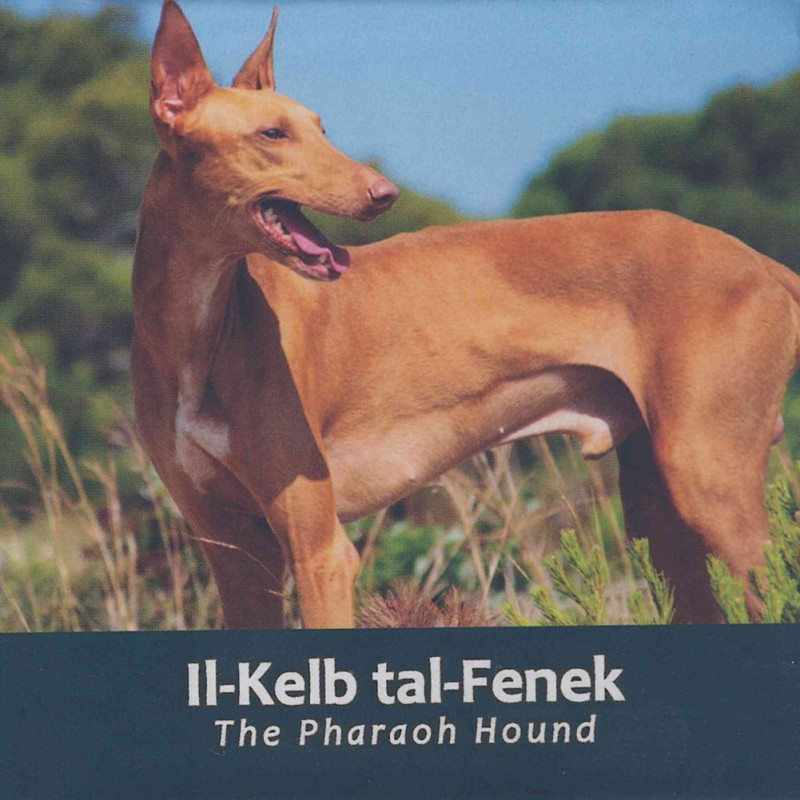 2 Euro Malta 2026 - Pharaoh Hound (Proof)